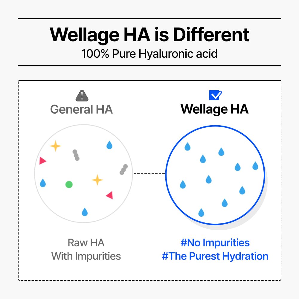 WELLAGE Real Hyaluronic Blue Ampoule 100 Korean Serum, Fragrance Free Hyaluronic Acid Ampoule with Panthenol, Wild yam, Centella for Sensitive Dry Skin Moisturizer 1.01 fl.oz+ HA Oneday Kit 7ea