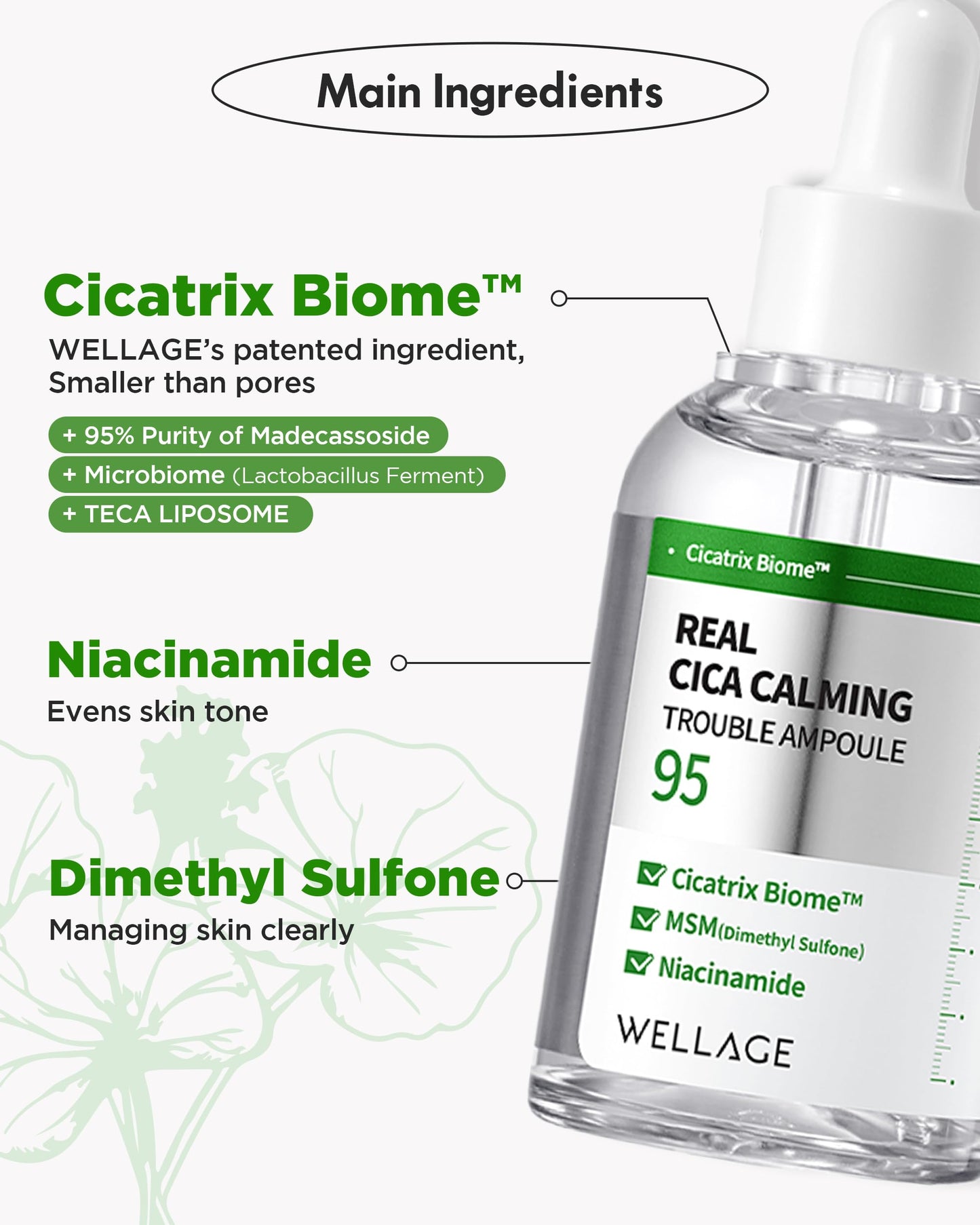 WELLAGE Real Cica Calming Trouble Ampoule 1.69 fl.oz + Cica Calming Cream 2.7oz Bundle